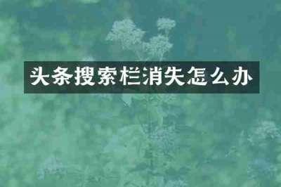 头条搜索栏消失怎么办