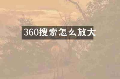 360搜索怎么放大
