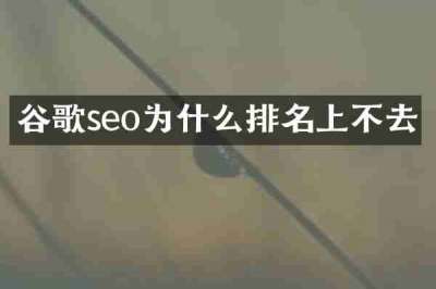 谷歌seo为什么排名上不去