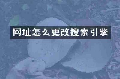 网址怎么更改搜索引擎