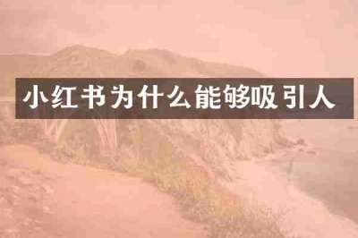 小红书为什么能够吸引人