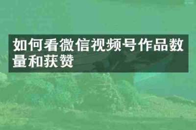 如何看微信视频号作品数量和获赞