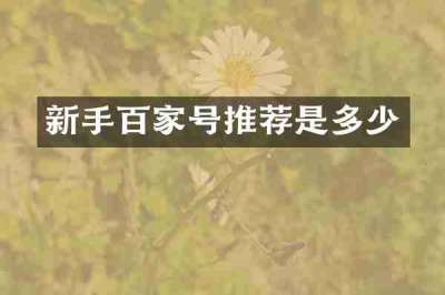 新手百家号推荐是多少