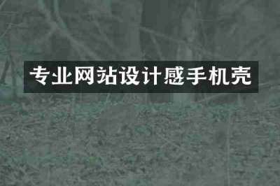 专业网站设计感手机壳