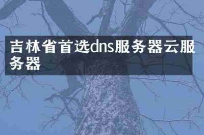 吉林省首选dns服务器云服务器