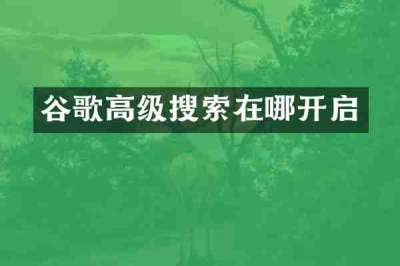 谷歌高级搜索在哪开启