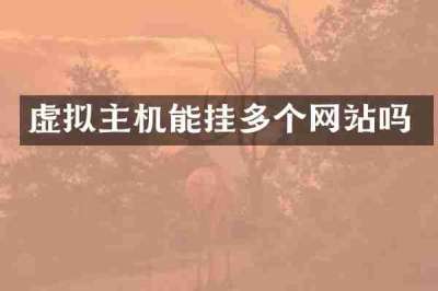 虚拟主机能挂多个网站吗