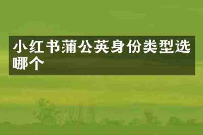 小红书蒲公英身份类型选哪个