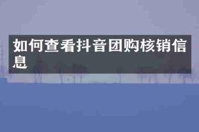 如何查看抖音团购核销信息