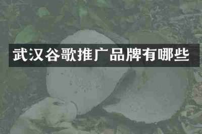 武汉谷歌推广品牌有哪些