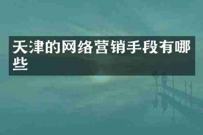 天津的网络营销手段有哪些