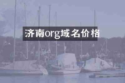 济南org域名价格