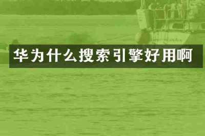 华为什么搜索引擎好用啊