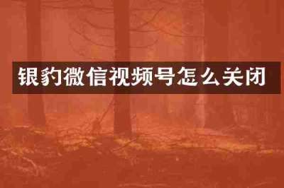 银豹微信视频号怎么关闭
