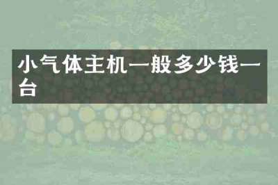 小气体主机一般多少钱一台