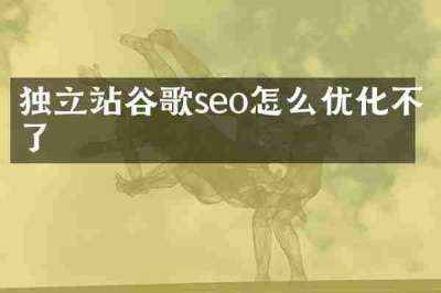 独立站谷歌seo怎么优化不了