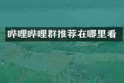 哔哩哔哩群推荐在哪里看