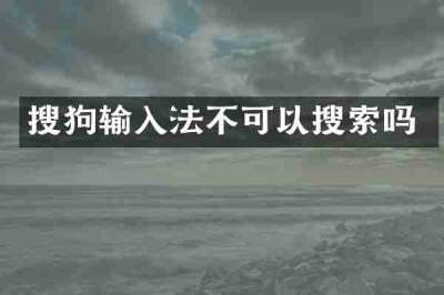 搜狗输入法不可以搜索吗