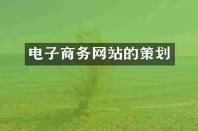 电子商务网站的策划