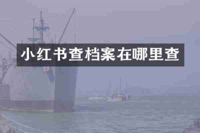 小红书查档案在哪里查