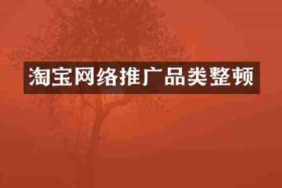 淘宝网络推广品类整顿