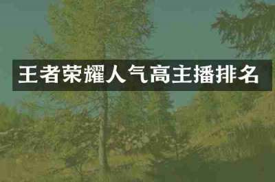 王者荣耀人气高主播排名