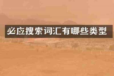 必应搜索词汇有哪些类型