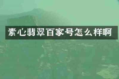 素心翡翠百家号怎么样啊