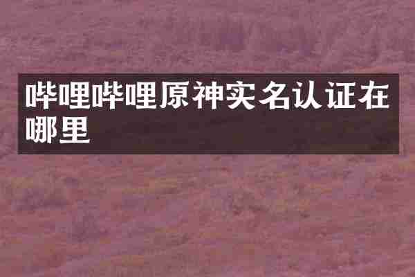 哔哩哔哩原神实名认证在哪里
