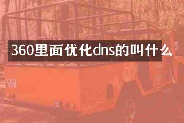 360里面优化dns的叫什么