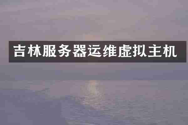 吉林服务器运维虚拟主机