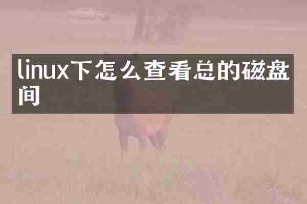 linux下怎么查看总的磁盘空间