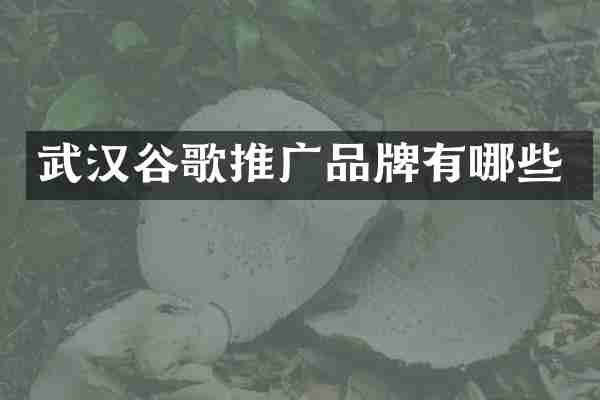 武汉谷歌推广品牌有哪些