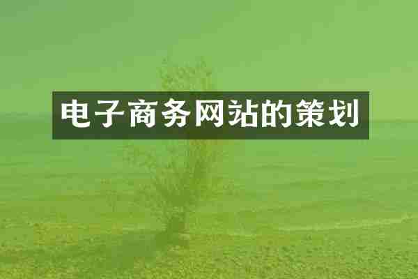 电子商务网站的策划