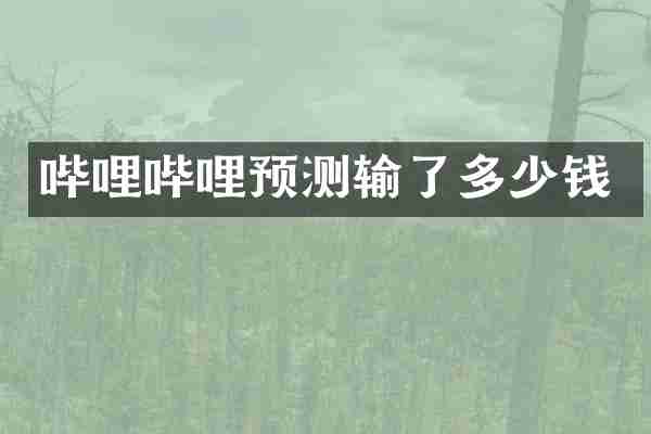 哔哩哔哩预测输了多少钱