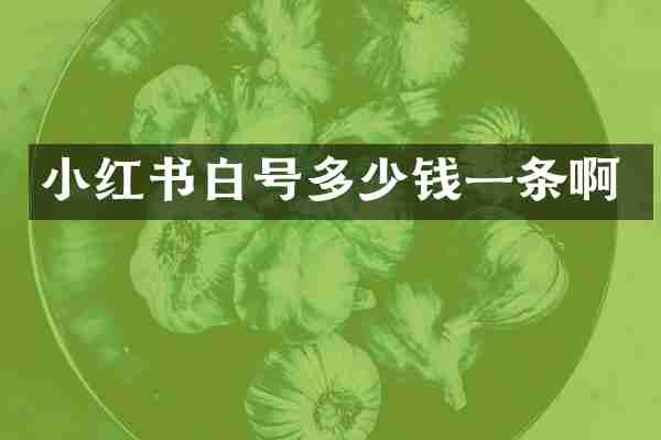 小红书白号多少钱一条啊