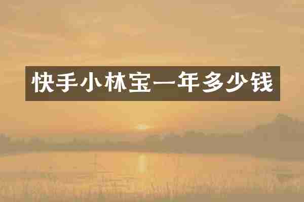 快手小林宝一年多少钱