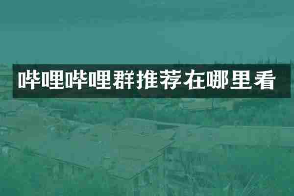 哔哩哔哩群推荐在哪里看