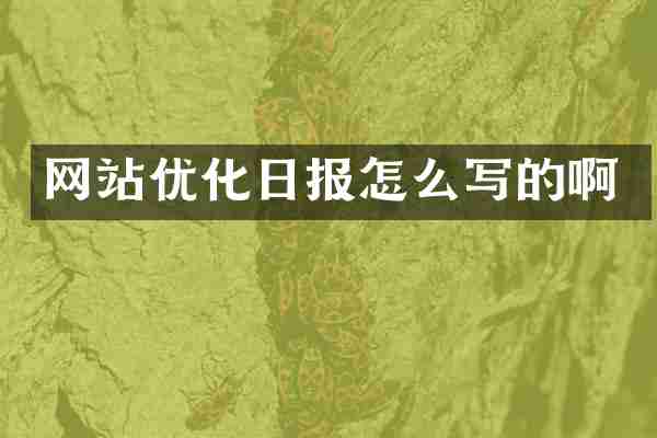网站优化日报怎么写的啊