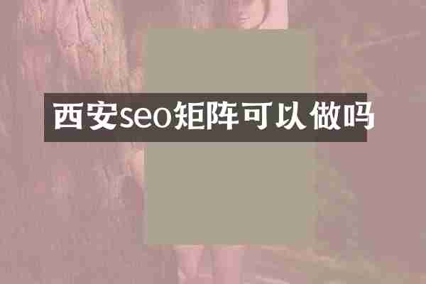 西安seo矩阵可以做吗