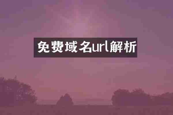 免费域名url解析