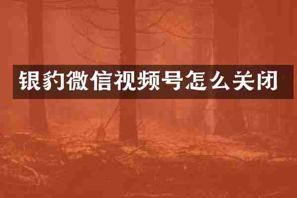 银豹微信视频号怎么关闭