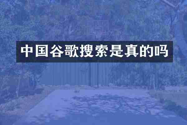 中国谷歌搜索是真的吗