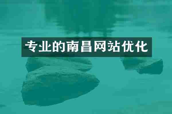 专业的南昌网站优化
