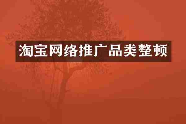 淘宝网络推广品类整顿