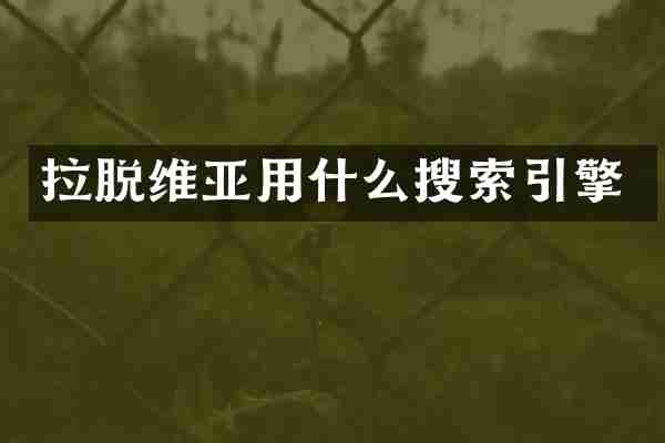 拉脱维亚用什么搜索引擎