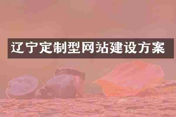 辽宁定制型网站建设方案