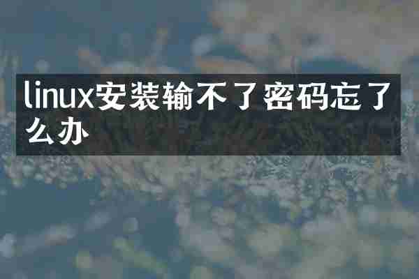 linux安装输不了密码忘了怎么办