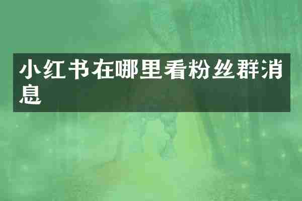 小红书在哪里看粉丝群消息