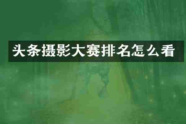 头条摄影大赛排名怎么看